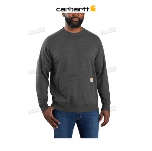 Carhartt Force Relaxed Fit Lätta Crewneck Sweatshirt Carbon Heather | SE0000479