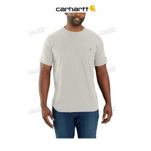 Carhartt Force Relaxed Fit Midweight Korta-Sleeve Pocket T-Shirt Malt | SE0001182