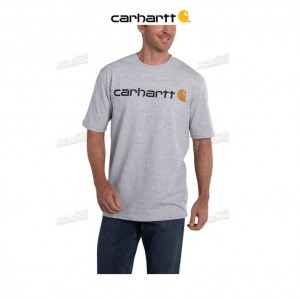 Carhartt Loose Fit Heavyweight Korta-Sleeve Logo Tryck T-Shirt Heather Gray | SE0001272