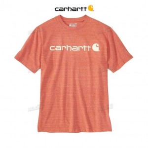 Carhartt Loose Fit Heavyweight Korta-Sleeve Logo Tryck T-Shirt Orange | SE0001277