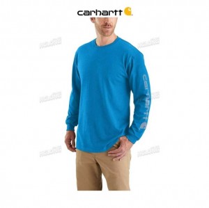 Carhartt Loose Fit Heavyweight Long-Sleeve Logo Sleeve Tryck T-Shirt Blå | SE0001279