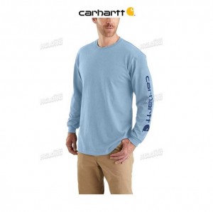 Carhartt Loose Fit Heavyweight Long-Sleeve Logo Sleeve Tryck T-Shirt Blå | SE0001280