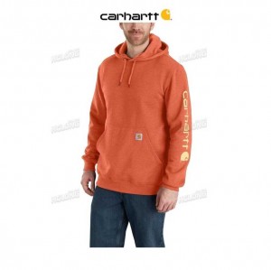 Carhartt Loose Fit Midweight Logo Sleeve Tryck Sweatshirt Orange | SE0000515