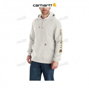 Carhartt Loose Fit Midweight Logo Sleeve Tryck Sweatshirt Malt | SE0000520