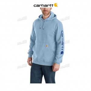 Carhartt Loose Fit Midweight Logo Sleeve Tryck Sweatshirt Blå | SE0000525