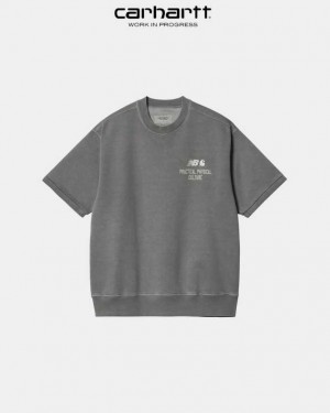 Carhartt New Balance x Carhartt WIP Sculpture Center Korta Sleeve Sweatshirt Shiver / Wax | SE0000362