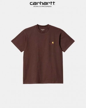 Carhartt Wip American Script T-Shirt Ale | SE0000813