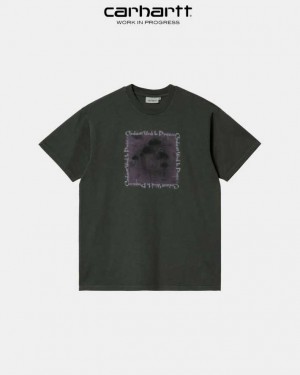 Carhartt Wip Hallucinogen T-Shirt Boxwood | SE0000922