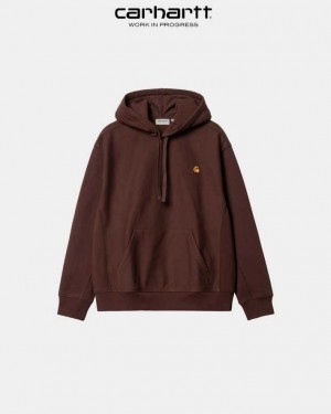 Carhartt Wip Hooded American Script Sweatshirt Ale | SE0000282