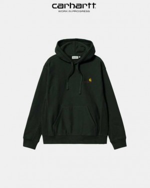 Carhartt Wip Hooded American Script Sweatshirt Mörk | SE0000283