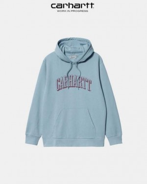 Carhartt Wip Hooded Scrawl Sweatshirt Misty Sky | SE0000328