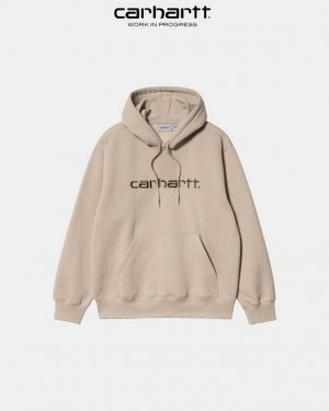 Carhartt Wip Hooded Sweatshirt Wall / Cypress | SE0000289