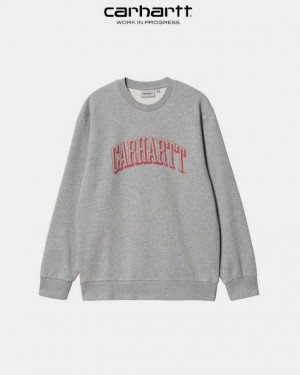 Carhartt Wip Scrawl Sweatshirt Grå | SE0000367