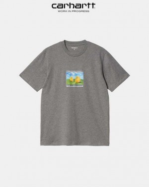 Carhartt Wip Sound Experience T-Shirt Mörkgrå | SE0001055