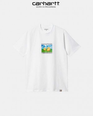 Carhartt Wip Sound Experience T-Shirt Vita | SE0001057