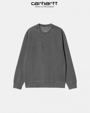 Carhartt Wip Verse Script Sweatshirt Vulcan | SE0000370