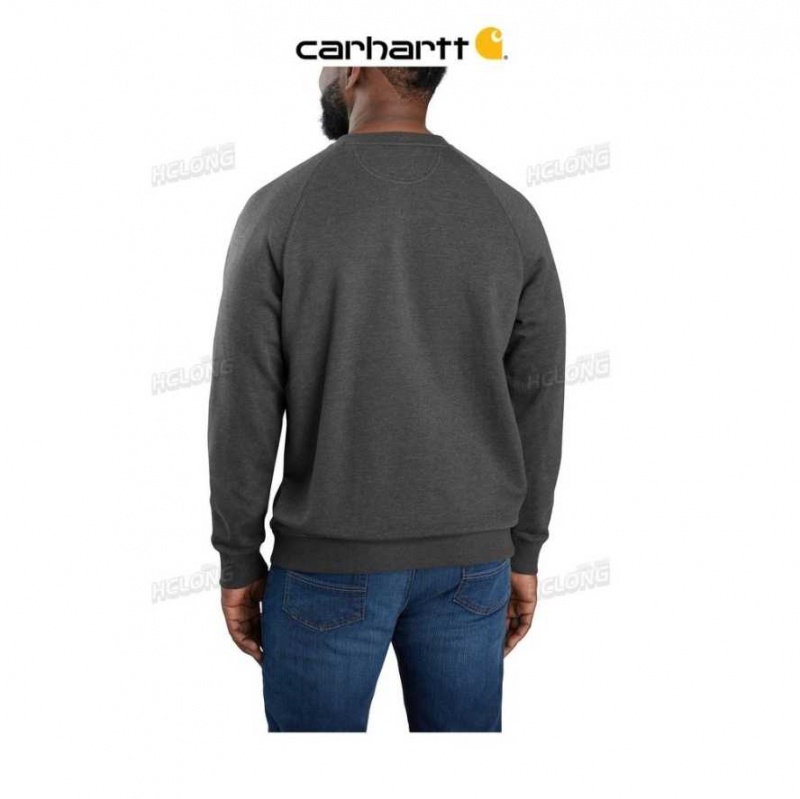 Carhartt Force Relaxed Fit Lätta Crewneck Sweatshirt Carbon Heather | SE0000479