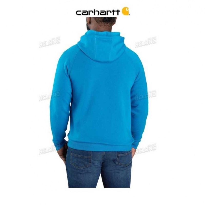 Carhartt Force Relaxed Fit Lätta Logo Tryck Sweatshirt Blå | SE0000482