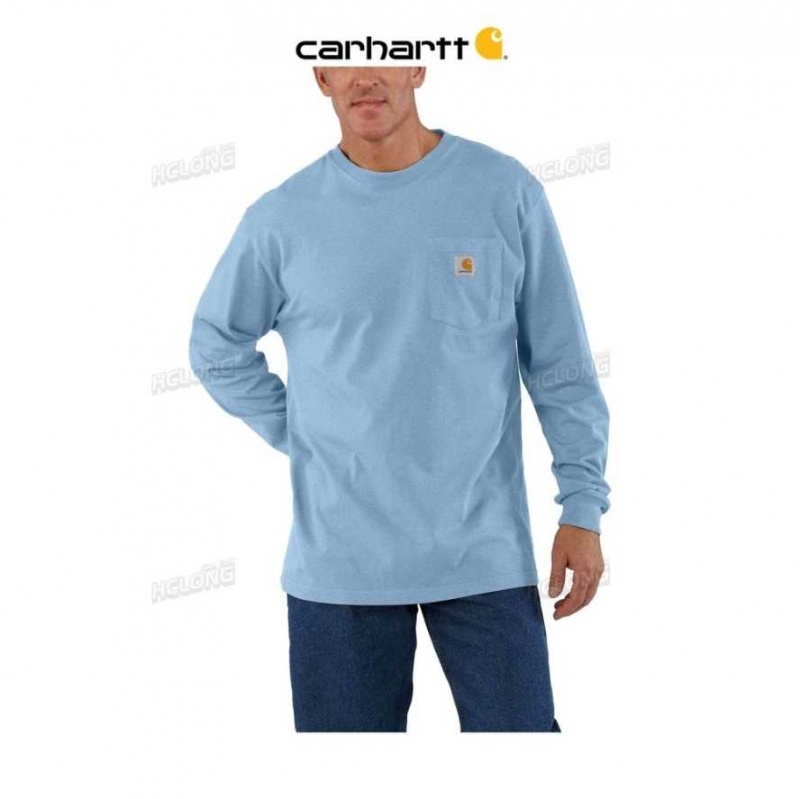 Carhartt Loose Fit Heavyweight Long-Sleeve Pocket T-Shirt Blå | SE0001256