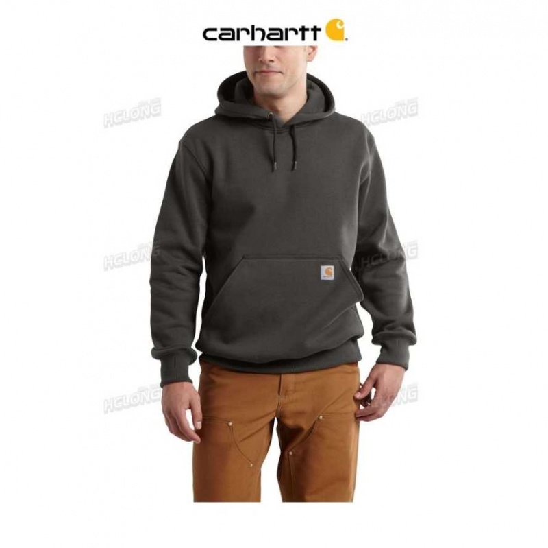 Carhartt Rain Defender Loose Fit Heavyweight Sweatshirt Peat | SE0000391