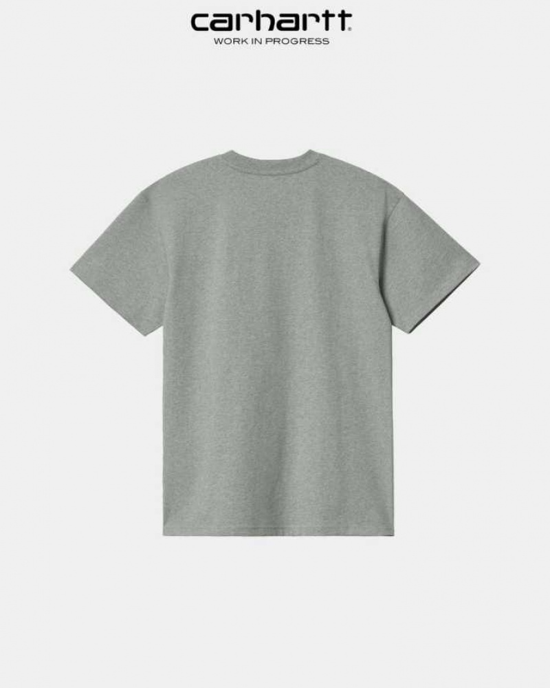 Carhartt Wip American Script T-Shirt Grå | SE0000808