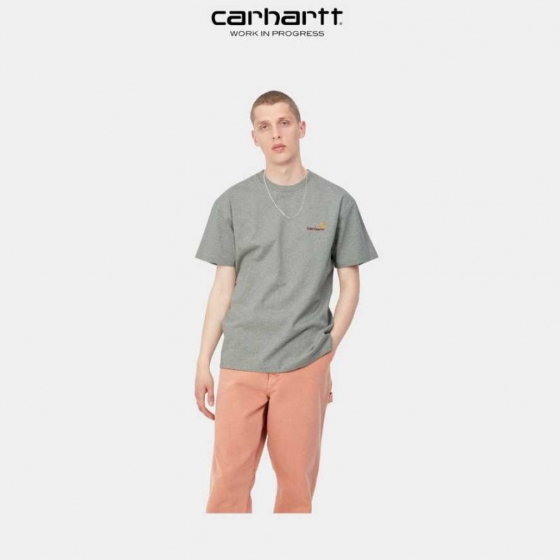 Carhartt Wip American Script T-Shirt Grå | SE0000808