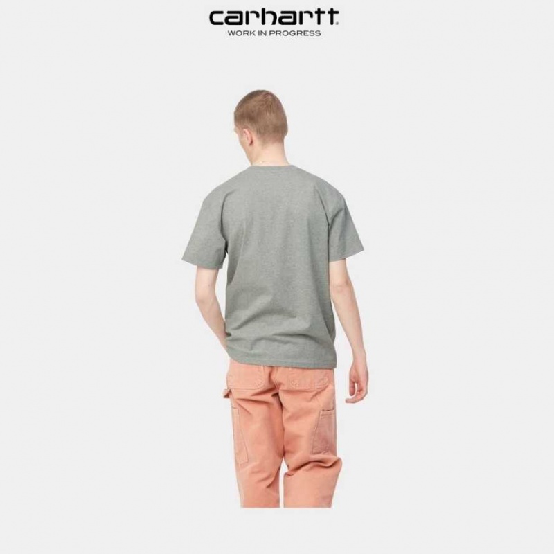 Carhartt Wip American Script T-Shirt Grå | SE0000808