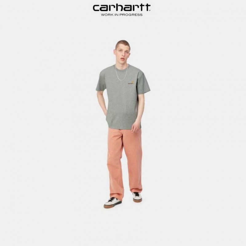 Carhartt Wip American Script T-Shirt Grå | SE0000808