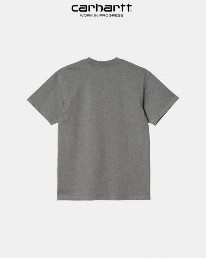 Carhartt Wip American Script T-Shirt Mörkgrå | SE0000810