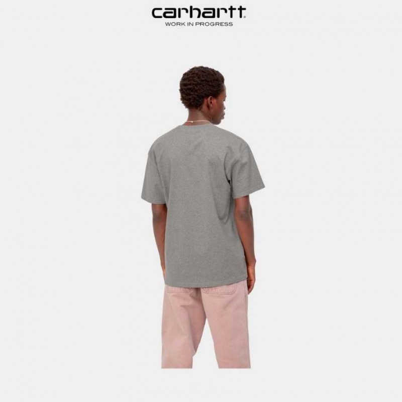 Carhartt Wip American Script T-Shirt Mörkgrå | SE0000810