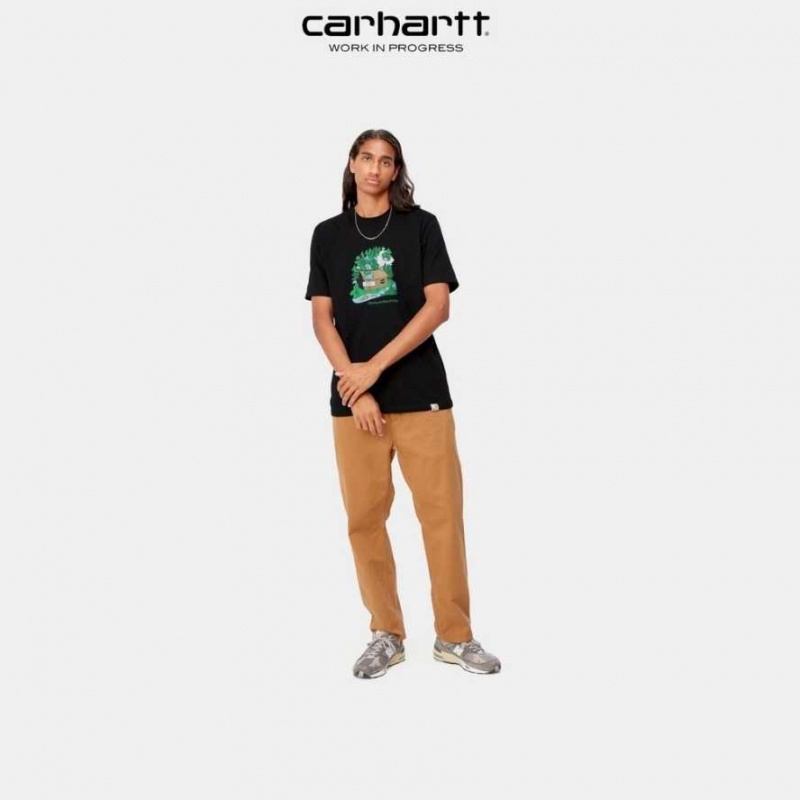 Carhartt Wip Cabin T-Shirt Svarta | SE0000843