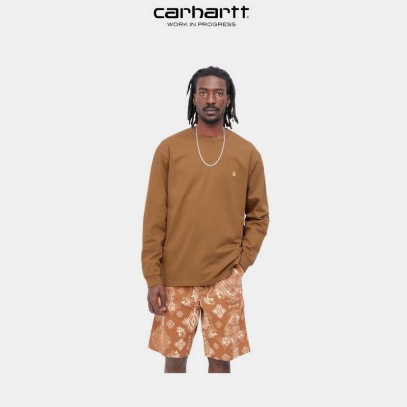 Carhartt Wip Chase Long Sleeve T-Shirt Bruna | SE0000859