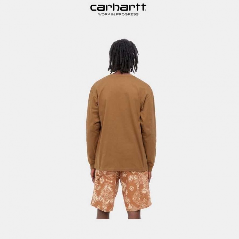 Carhartt Wip Chase Long Sleeve T-Shirt Bruna | SE0000859