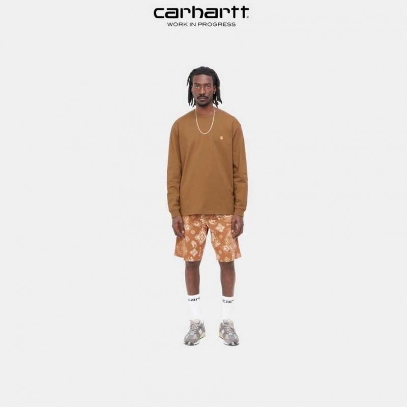 Carhartt Wip Chase Long Sleeve T-Shirt Bruna | SE0000859