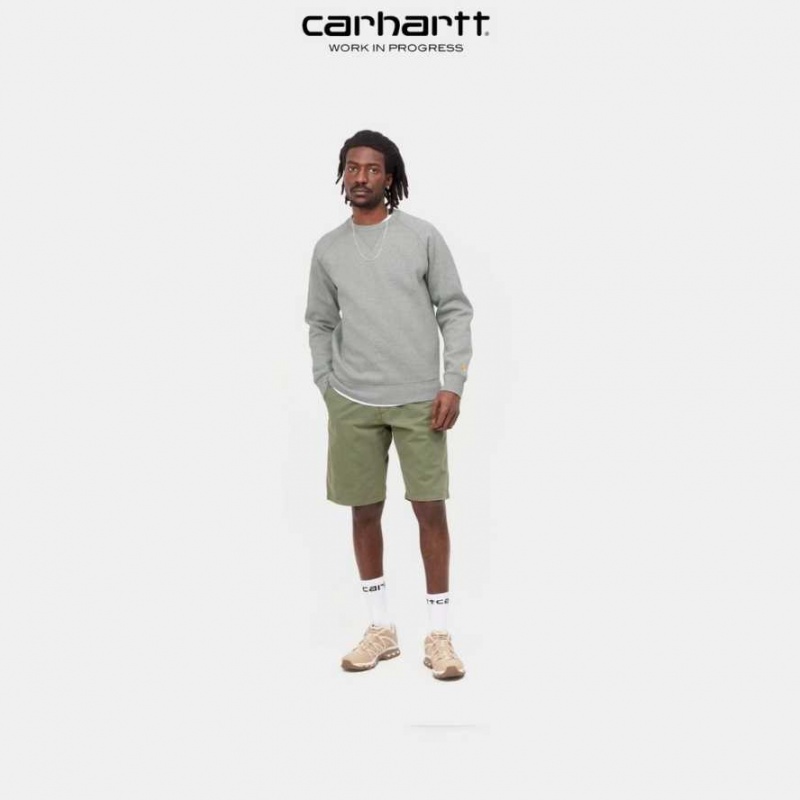 Carhartt Wip Chase Sweatshirt Grå | SE0000270