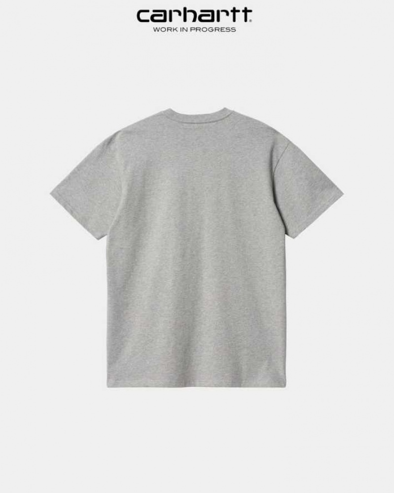 Carhartt Wip Chase T-Shirt Grå | SE0000869