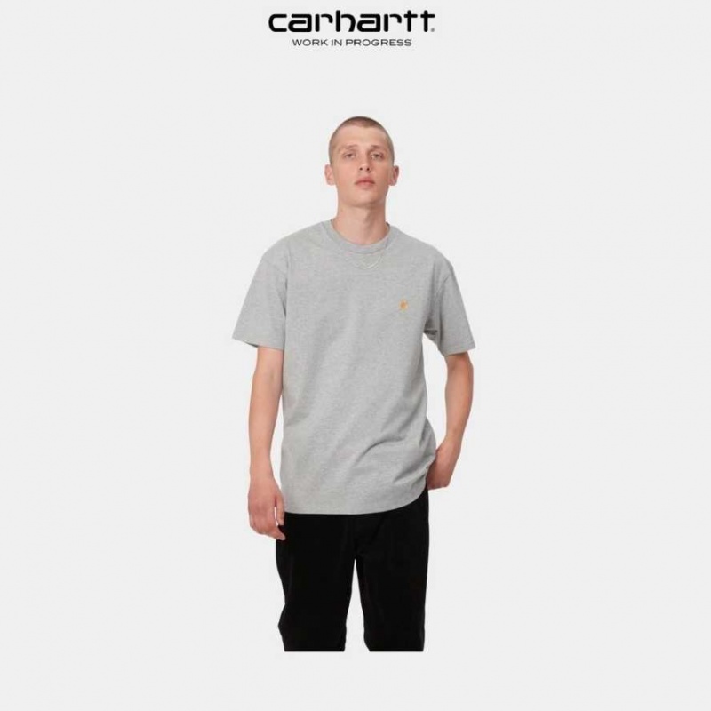 Carhartt Wip Chase T-Shirt Grå | SE0000869