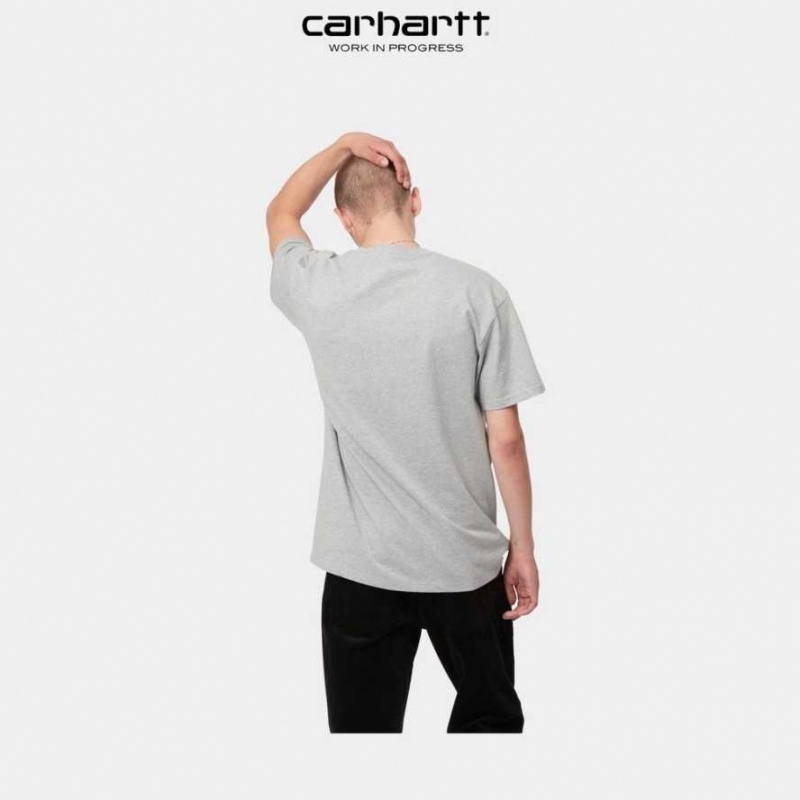 Carhartt Wip Chase T-Shirt Grå | SE0000869