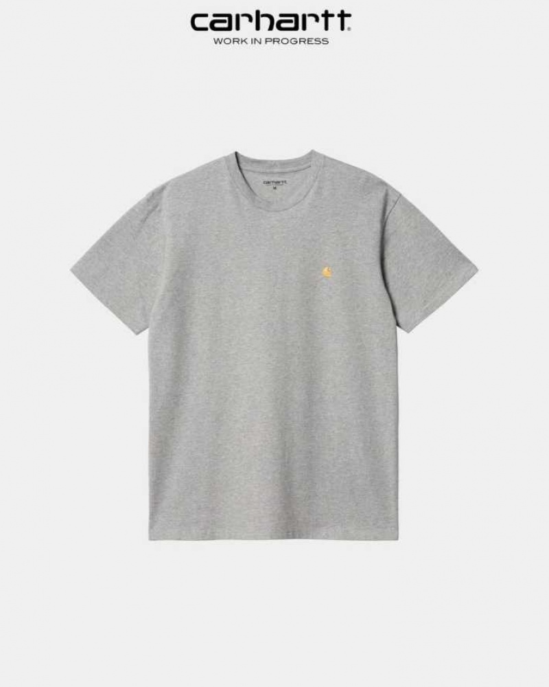 Carhartt Wip Chase T-Shirt Grå | SE0000869