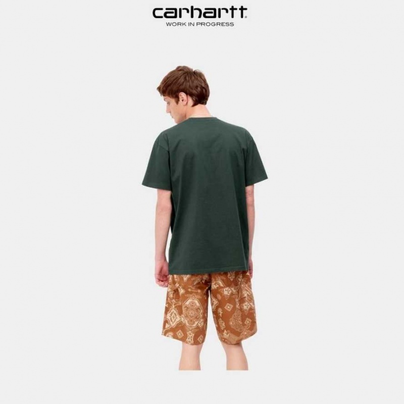 Carhartt Wip Chase T-Shirt Juniper | SE0000877