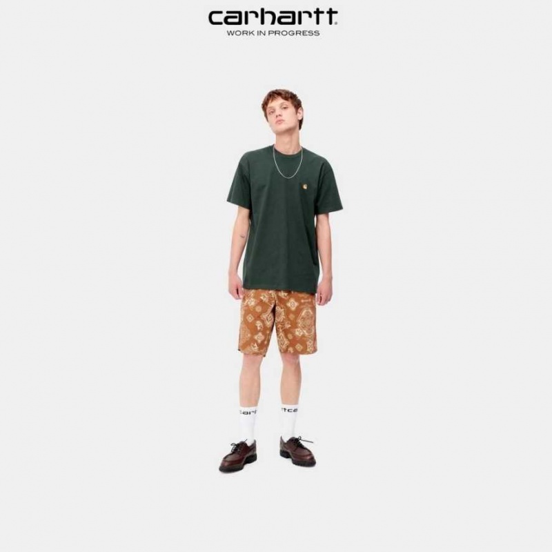 Carhartt Wip Chase T-Shirt Juniper | SE0000877