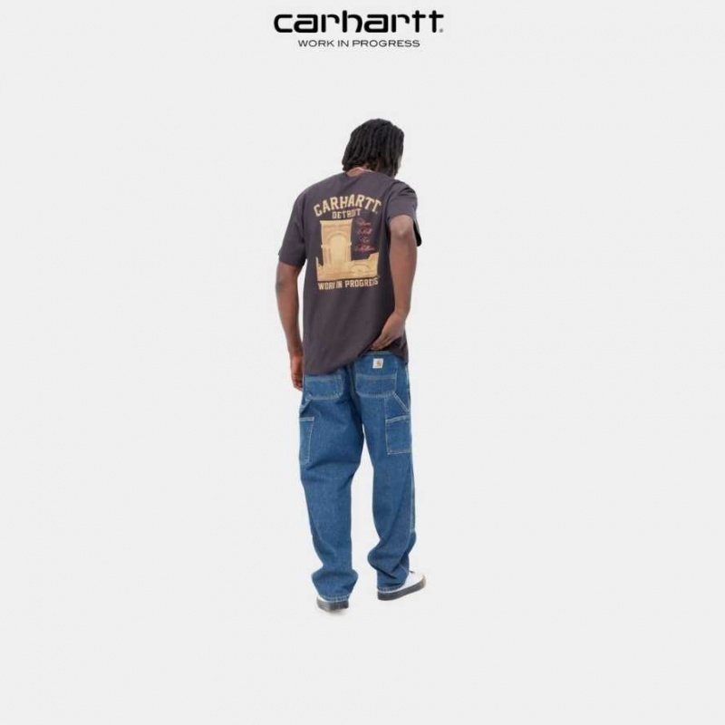 Carhartt Wip Entrance T-Shirt Artichoke | SE0000910