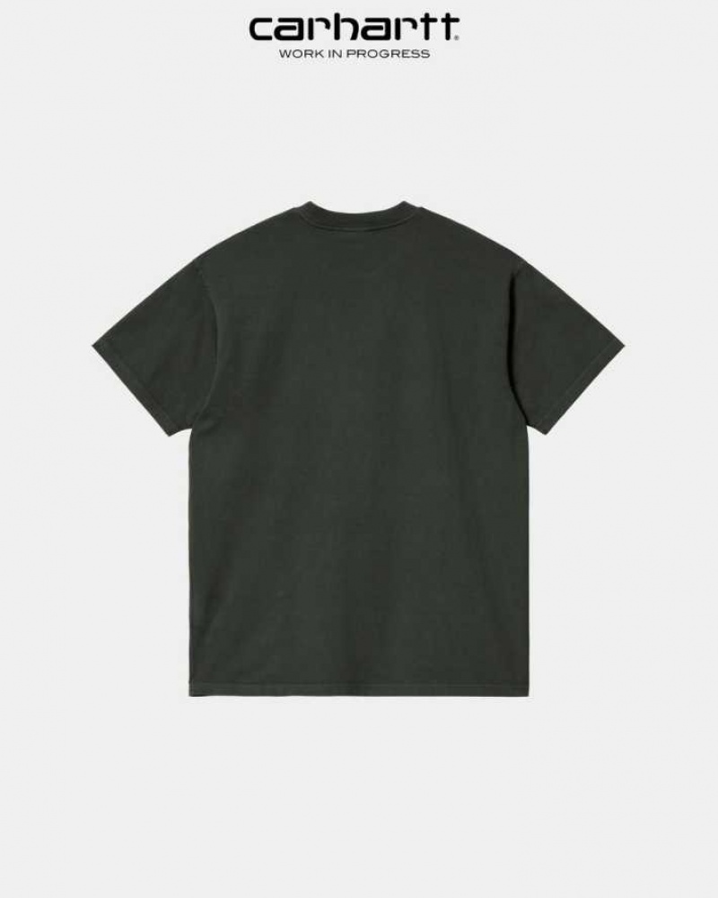 Carhartt Wip Hallucinogen T-Shirt Boxwood | SE0000922