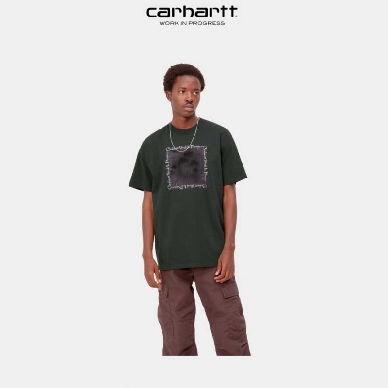 Carhartt Wip Hallucinogen T-Shirt Boxwood | SE0000922