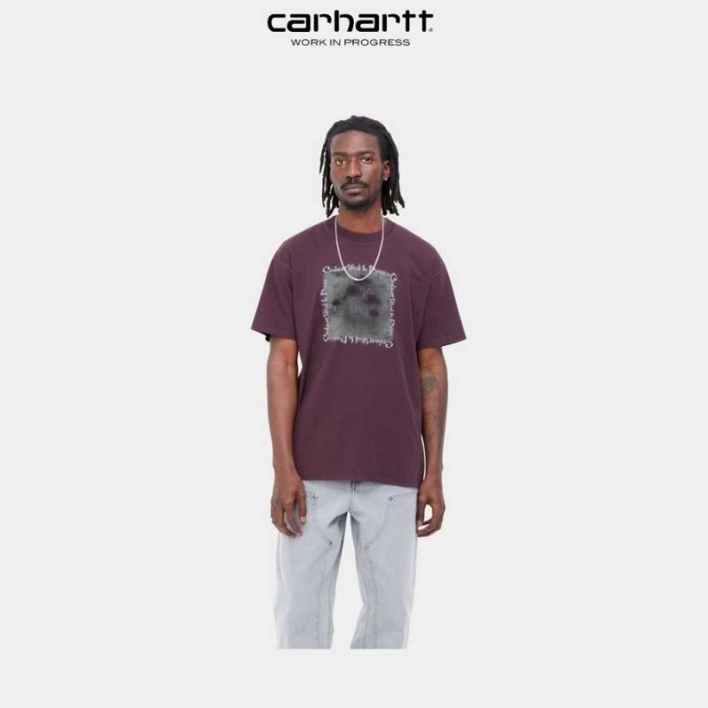 Carhartt Wip Hallucinogen T-Shirt Mörk | SE0000924