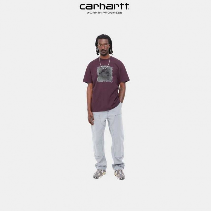 Carhartt Wip Hallucinogen T-Shirt Mörk | SE0000924