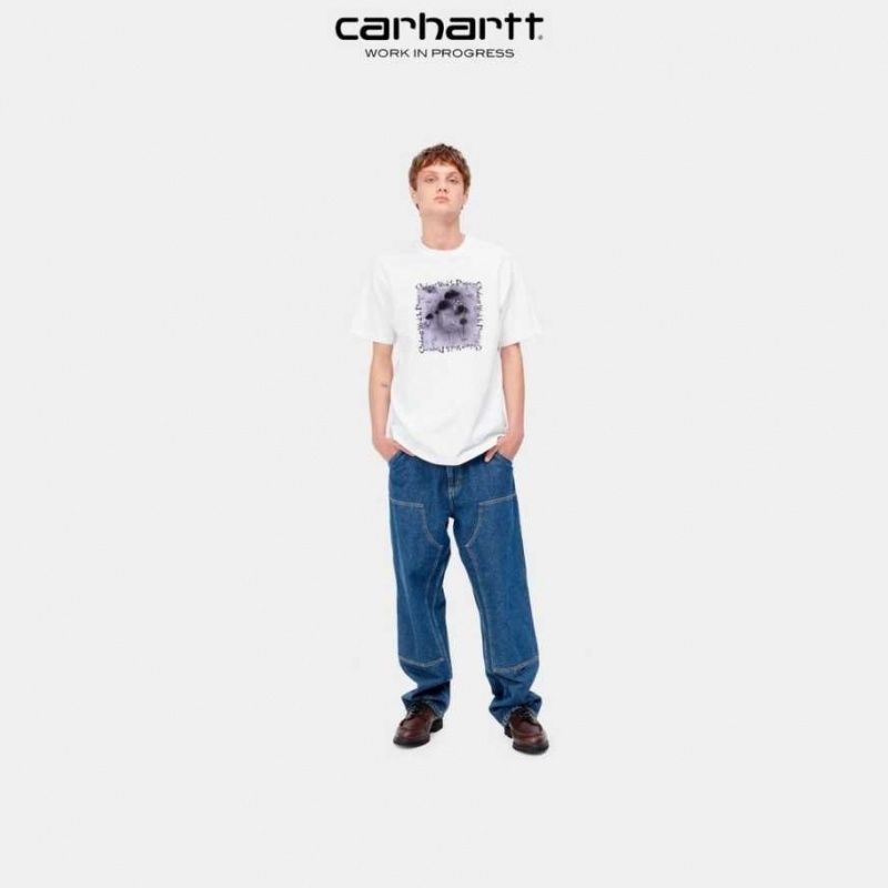 Carhartt Wip Hallucinogen T-Shirt Vita | SE0000923