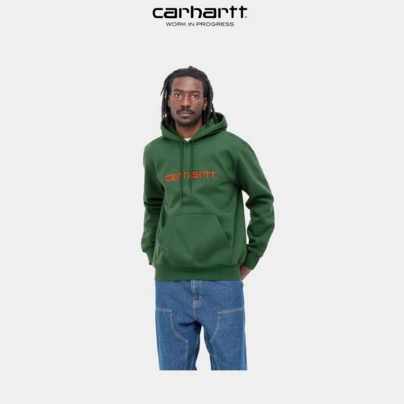 Carhartt Wip Hooded Sweatshirt Bonsai | SE0000290