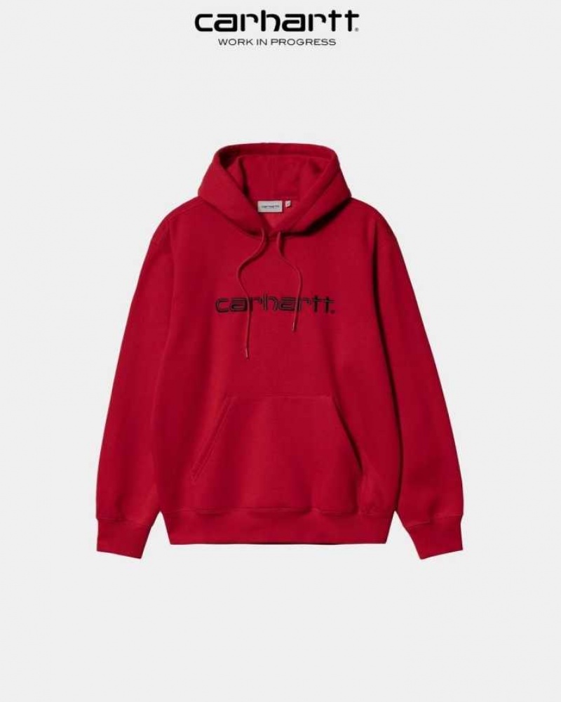 Carhartt Wip Hooded Sweatshirt Rocket | SE0000288