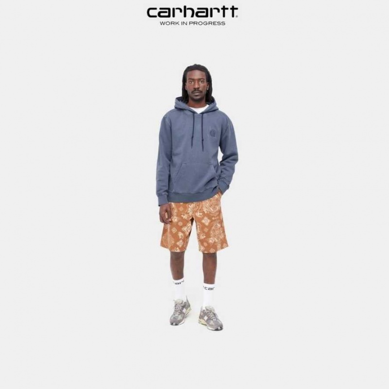 Carhartt Wip Hooded Verse Patch Sweatshirt Enzian | SE0000337